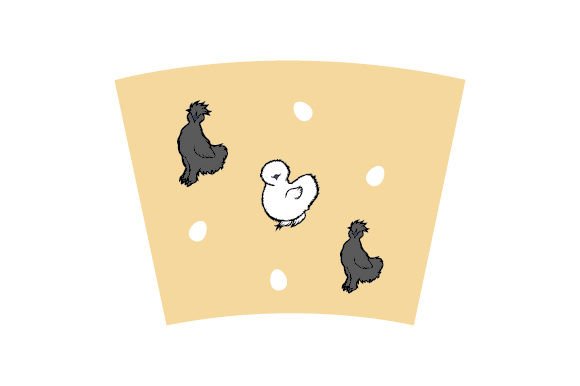 Silkie Chickens B W Tumbler Wrap 24Oz: Crafts & Animals